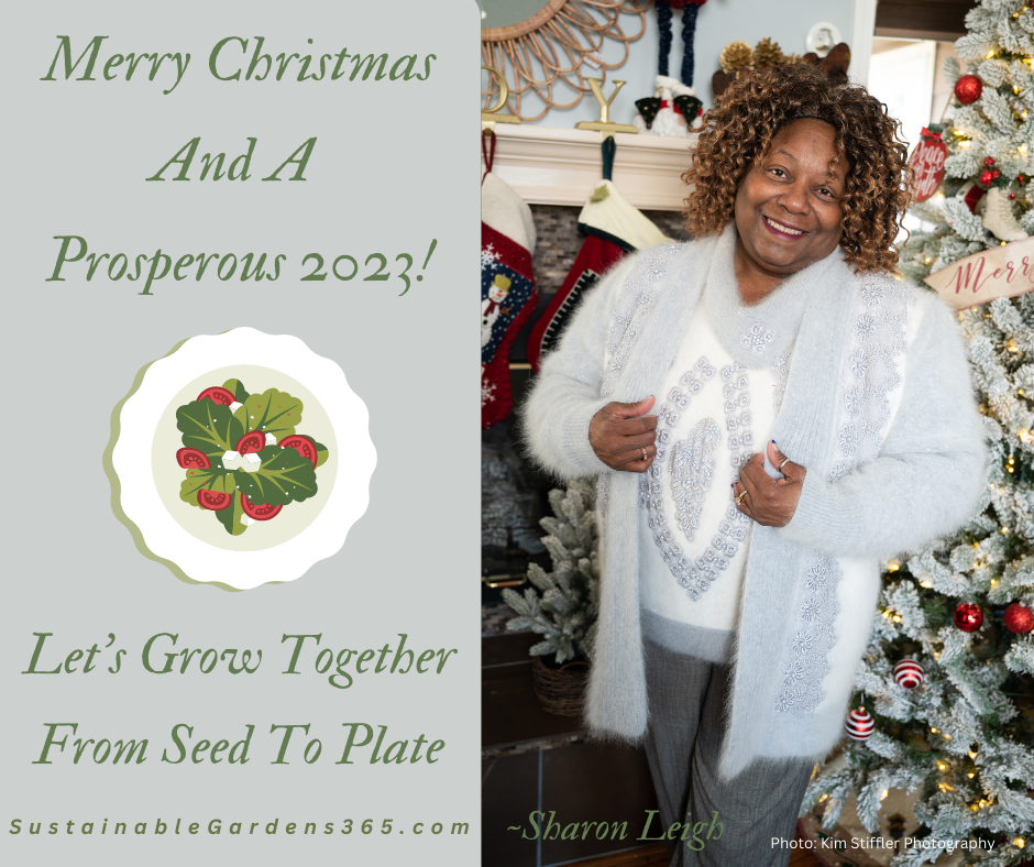 merry christmas #2 (2)