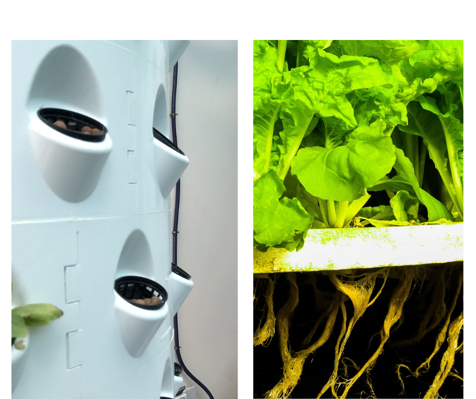 aeroponic & hydroponic (1)