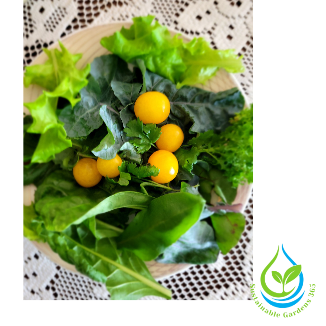 bio carosul 6 (facebook post (square)) (2)