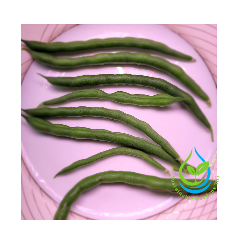 bio carosul 6 (facebook post (square))
